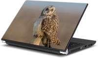 ezyPRNT Lonely Owl (15 to 15.6 inch) Vinyl Laptop Decal 15   Laptop Accessories  (ezyPRNT)
