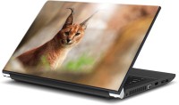 ezyPRNT Wild Cat (15 to 15.6 inch) Vinyl Laptop Decal 15   Laptop Accessories  (ezyPRNT)
