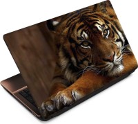 Anweshas Tiger T010 Vinyl Laptop Decal 15.6   Laptop Accessories  (Anweshas)