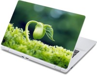 ezyPRNT The Blooming Plant (13 to 13.9 inch) Vinyl Laptop Decal 13   Laptop Accessories  (ezyPRNT)