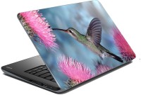 meSleep Wild Life 70-460 Vinyl Laptop Decal 15.6   Laptop Accessories  (meSleep)