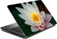 meSleep Floral LS-73-203 Vinyl Laptop Decal 15.6   Laptop Accessories  (meSleep)