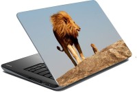 meSleep Lion 70-078 Vinyl Laptop Decal 15.6   Laptop Accessories  (meSleep)