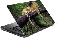 meSleep Tiger 70-308 Vinyl Laptop Decal 15.6   Laptop Accessories  (meSleep)