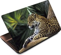 Anweshas Leopard LP010 Vinyl Laptop Decal 15.6   Laptop Accessories  (Anweshas)