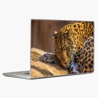 Theskinmantra Tiger Calm Laptop Decal 13.3   Laptop Accessories  (Theskinmantra)