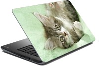 meSleep Cat 70-537 Vinyl Laptop Decal 15.6   Laptop Accessories  (meSleep)