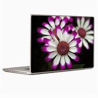 Theskinmantra Floraxpress Laptop Decal 13.3   Laptop Accessories  (Theskinmantra)