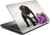 meSleep Dog 64-056 Vinyl Laptop Decal 15.6   Laptop Accessories  (meSleep)