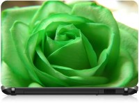 Box 18 Green Rose1007 Vinyl Laptop Decal 15.6   Laptop Accessories  (Box 18)