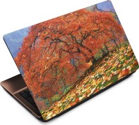 Finest Autumn ATM021 Vinyl Laptop Decal 15.6   Laptop Accessories  (Finest)