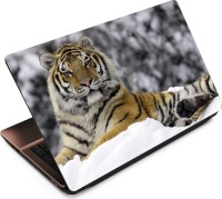 Anweshas Tiger T105 Vinyl Laptop Decal 15.6   Laptop Accessories  (Anweshas)