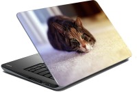 meSleep Cat 70-548 Vinyl Laptop Decal 15.6   Laptop Accessories  (meSleep)