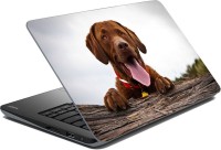 meSleep Dog LS-54-105 Vinyl Laptop Decal 15.6   Laptop Accessories  (meSleep)