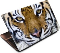 Anweshas Tiger T104 Vinyl Laptop Decal 15.6   Laptop Accessories  (Anweshas)