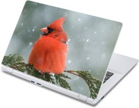 ezyPRNT Beautiful Snow Bird (13 to 13.9 inch) Vinyl Laptop Decal 13   Laptop Accessories  (ezyPRNT)
