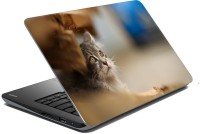 meSleep Cat 70-646 Vinyl Laptop Decal 15.6   Laptop Accessories  (meSleep)