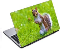 ezyPRNT Cute Squirrel (14 to 14.9 inch) Vinyl Laptop Decal 14   Laptop Accessories  (ezyPRNT)