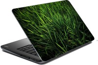 meSleep Nature 64-039 Vinyl Laptop Decal 15.6   Laptop Accessories  (meSleep)