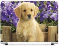 FineArts Cute Dog Wooden Back Vinyl Laptop Decal 15.6   Laptop Accessories  (FineArts)