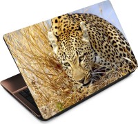 Anweshas Leopard LP006 Vinyl Laptop Decal 15.6   Laptop Accessories  (Anweshas)