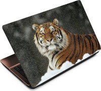 View Anweshas Tiger T020 Vinyl Laptop Decal 15.6 Laptop Accessories Price Online(Anweshas)