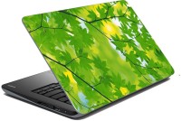 meSleep Nature LS-46-382 Vinyl Laptop Decal 15.6   Laptop Accessories  (meSleep)