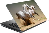 meSleep Horse 70-207 Vinyl Laptop Decal 15.6   Laptop Accessories  (meSleep)