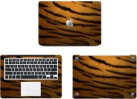 Swagsutra Lions Den Vinyl Laptop Decal 11   Laptop Accessories  (Swagsutra)