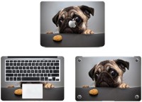 Swagsutra Puggy Full body SKIN/STICKER Vinyl Laptop Decal 15   Laptop Accessories  (Swagsutra)