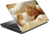 meSleep Cat 64-021 Vinyl Laptop Decal 15.6   Laptop Accessories  (meSleep)