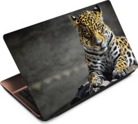 Anweshas Leopard LP012 Vinyl Laptop Decal 15.6   Laptop Accessories  (Anweshas)