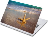 ezyPRNT Starfish In The Sand (13 to 13.9 inch) Vinyl Laptop Decal 13   Laptop Accessories  (ezyPRNT)