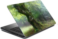 meSleep Nature LS-40-360 Vinyl Laptop Decal 15.6   Laptop Accessories  (meSleep)