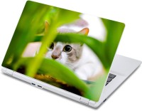 ezyPRNT White Cat (13 to 13.9 inch) Vinyl Laptop Decal 13   Laptop Accessories  (ezyPRNT)