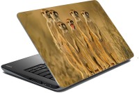 meSleep Wild Life 70-247 Vinyl Laptop Decal 15.6   Laptop Accessories  (meSleep)