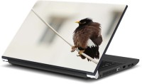 ezyPRNT The Waiting Bird (15 to 15.6 inch) Vinyl Laptop Decal 15   Laptop Accessories  (ezyPRNT)