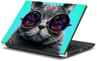Dadlace Funny Cat Vinyl Laptop Decal 17   Laptop Accessories  (Dadlace)