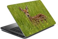 meSleep Wild Life 70-205 Vinyl Laptop Decal 15.6   Laptop Accessories  (meSleep)