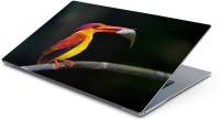 Lovely Collection Colorfull Bird Vinyl Laptop Decal 15.6   Laptop Accessories  (Lovely Collection)