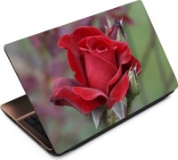 Finest Flower FL33 Vinyl Laptop Decal 15.6   Laptop Accessories  (Finest)