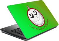 meSleep Green Calm Like A Bomb Vinyl Laptop Decal 15.1   Laptop Accessories  (meSleep)