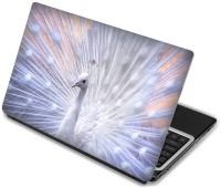 Shopmania White Peacock Vinyl Laptop Decal 15.6   Laptop Accessories  (Shopmania)