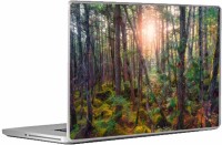 Swagsutra Autumn Laptop Skin/Decal For 14.1 Inch Laptop Vinyl Laptop Decal 14   Laptop Accessories  (Swagsutra)