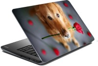 meSleep Dog 70-730 Vinyl Laptop Decal 15.6   Laptop Accessories  (meSleep)