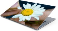 Lovely Collection petal count Vinyl Laptop Decal 15.6   Laptop Accessories  (Lovely Collection)