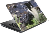 meSleep Dog LS-57-022 Vinyl Laptop Decal 15.6   Laptop Accessories  (meSleep)
