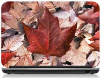 Box 18 Canada Flag Leaves1270 Vinyl Laptop Decal 15.6   Laptop Accessories  (Box 18)