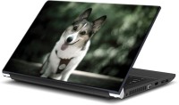 ezyPRNT Doggy's Tongue Out Pet Animal (15 to 15.6 inch) Vinyl Laptop Decal 15   Laptop Accessories  (ezyPRNT)