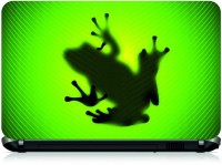 Box 18 Frog 3D520 Vinyl Laptop Decal 15.6   Laptop Accessories  (Box 18)